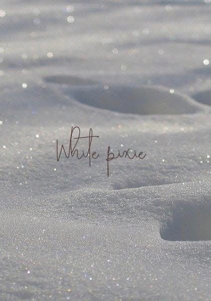 White Pixie Standard Clam Wax Melt